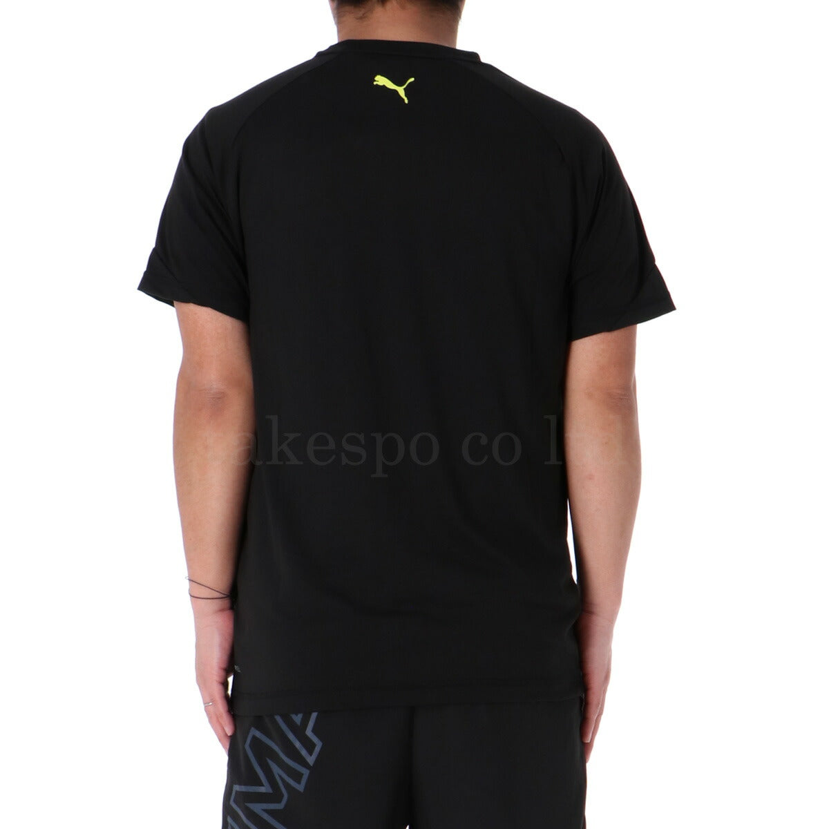 プーマ Tシャツ ハーフパンツ 上下 メンズ TAD ブラック ホワイト レッド 527049