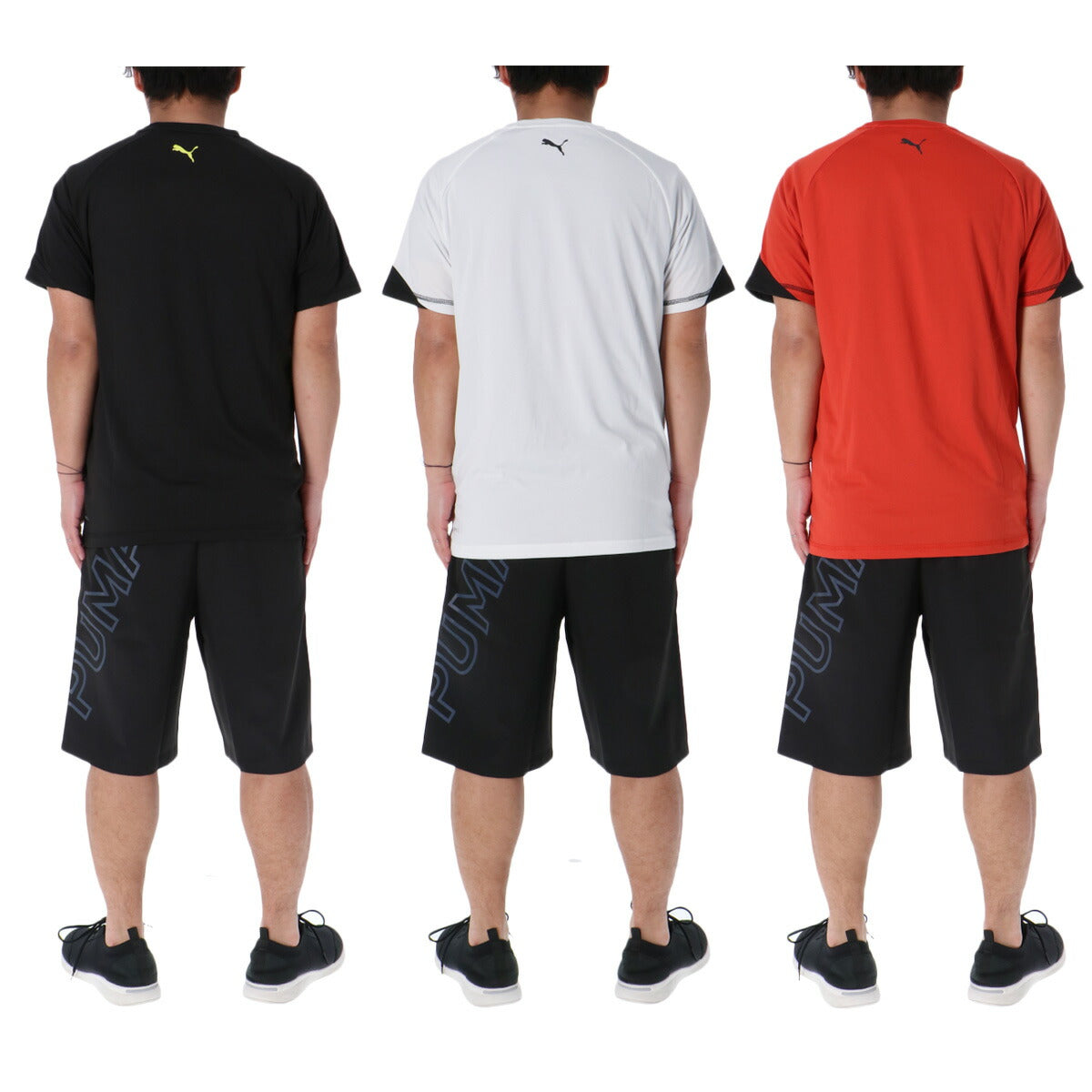 プーマ Tシャツ ハーフパンツ 上下 メンズ TAD ブラック ホワイト レッド 527049