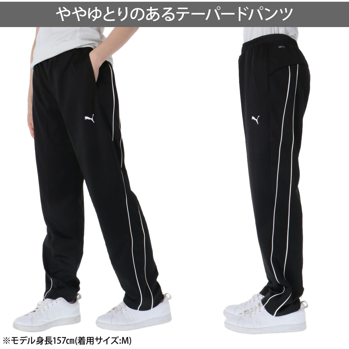 プーマ ジャージ上下 ジャージ 上下 セットアップ レディース ブランド PUMA 吸汗 速乾 ドライ 黒 トラックスーツ トラックジャージ 529579 ブラック ネイビー グリーン 新作 上下セット かわいい 大きいサイズ