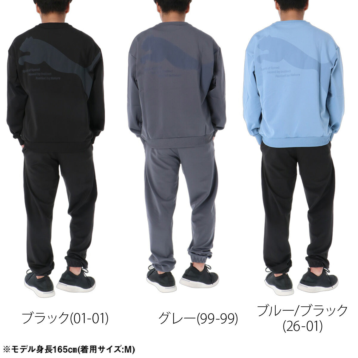 プーマ ジャージ上下 ジャージ 上下 セットアップ メンズ ブランド PUMA バックプリント ビックロゴ クルーネック 黒 吸汗 速乾 ドライ 529585 ブラック グレー ブルー 上下セット 大きいサイズ 有