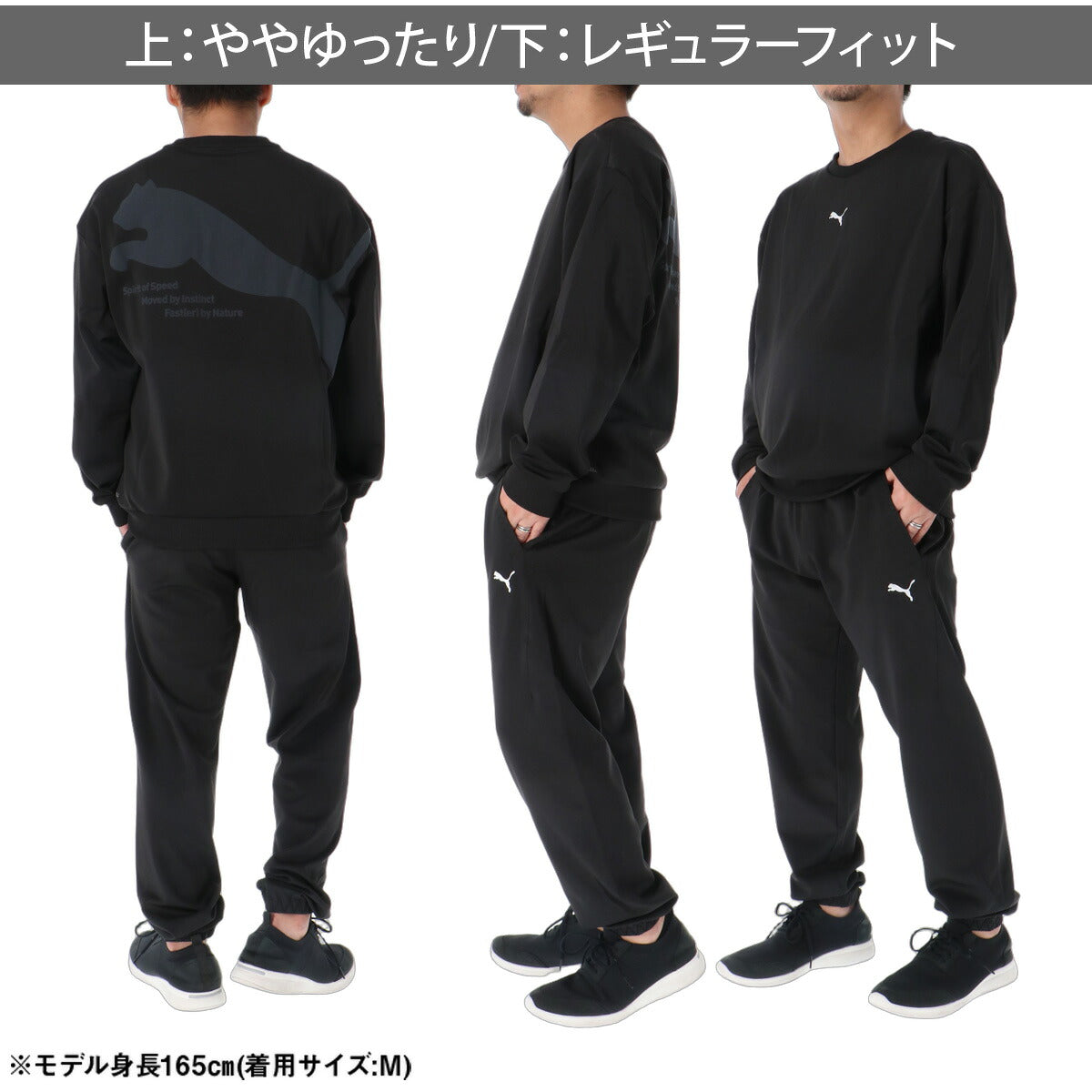プーマ ジャージ上下 ジャージ 上下 セットアップ メンズ ブランド PUMA バックプリント ビックロゴ クルーネック 黒 吸汗 速乾 ドライ 529585 ブラック グレー ブルー 上下セット 大きいサイズ 有
