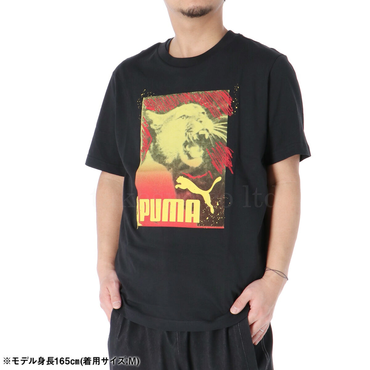 プーマ Tシャツ メンズ グラフィック フォトプリント ブラック ホワイト 687705