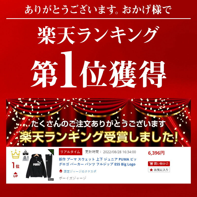プーマ スウェット 上下 ジュニア ESS Big Logo FZ Hoodie TR B  ブラック グレー 848437
