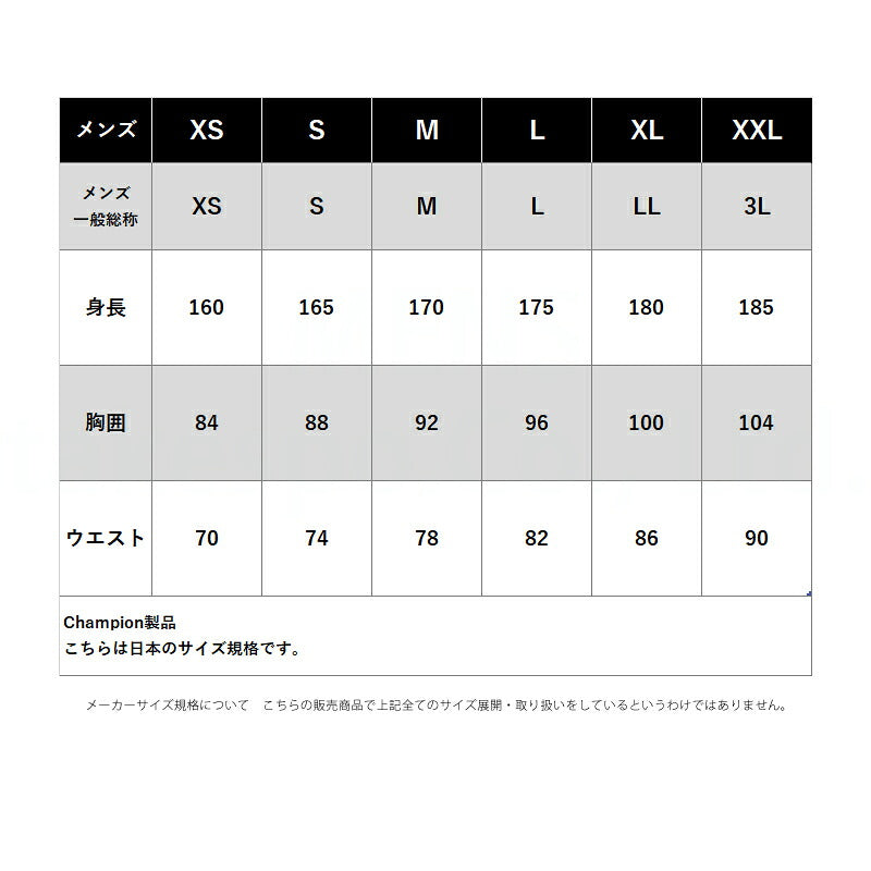 チャンピオン スウェット 上下 メンズ テックウィーブ ブラック グレー ベージュ C3DS101