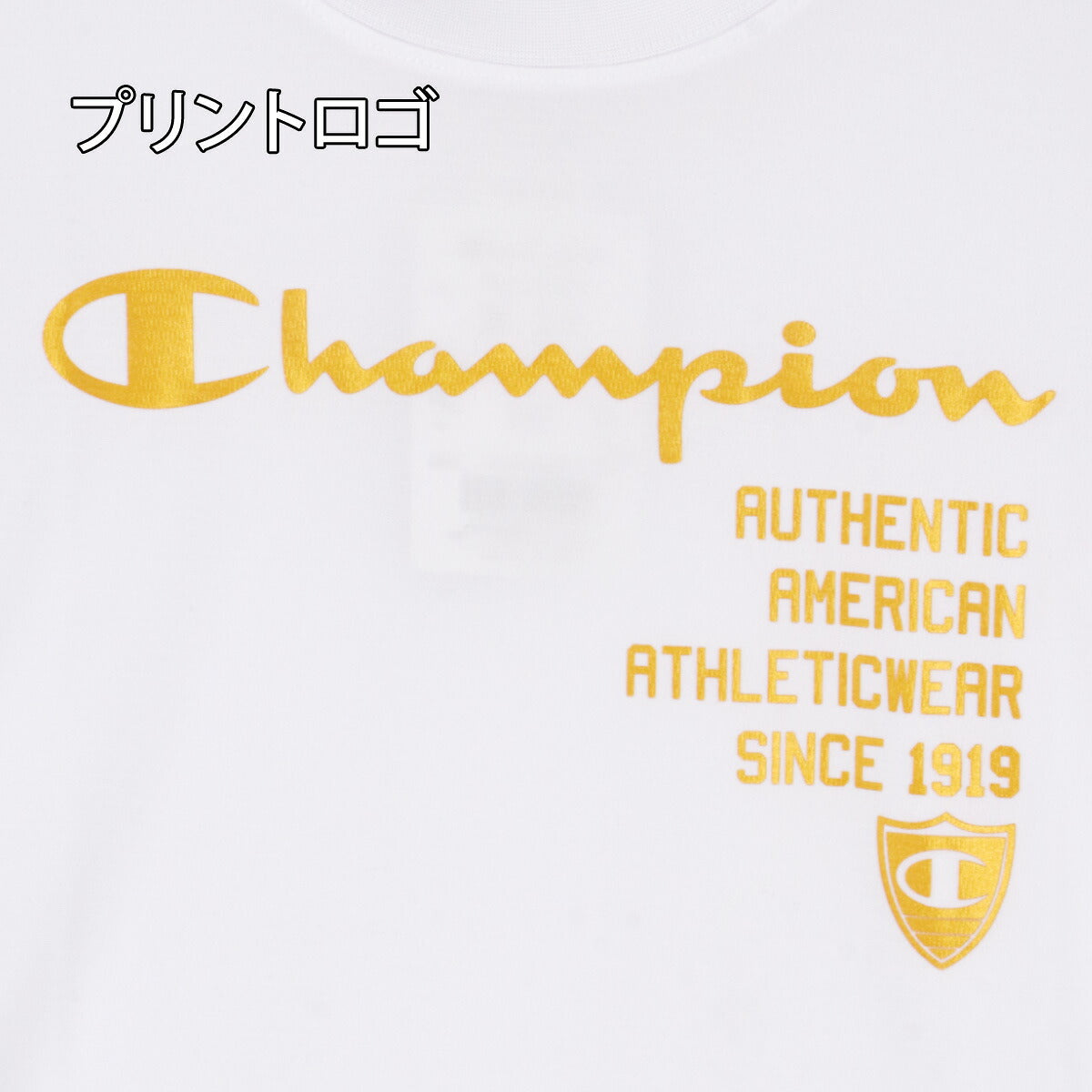 チャンピオン Tシャツ ハーフパンツ 上下 ジュニア ブラック ホワイト CKDSW05