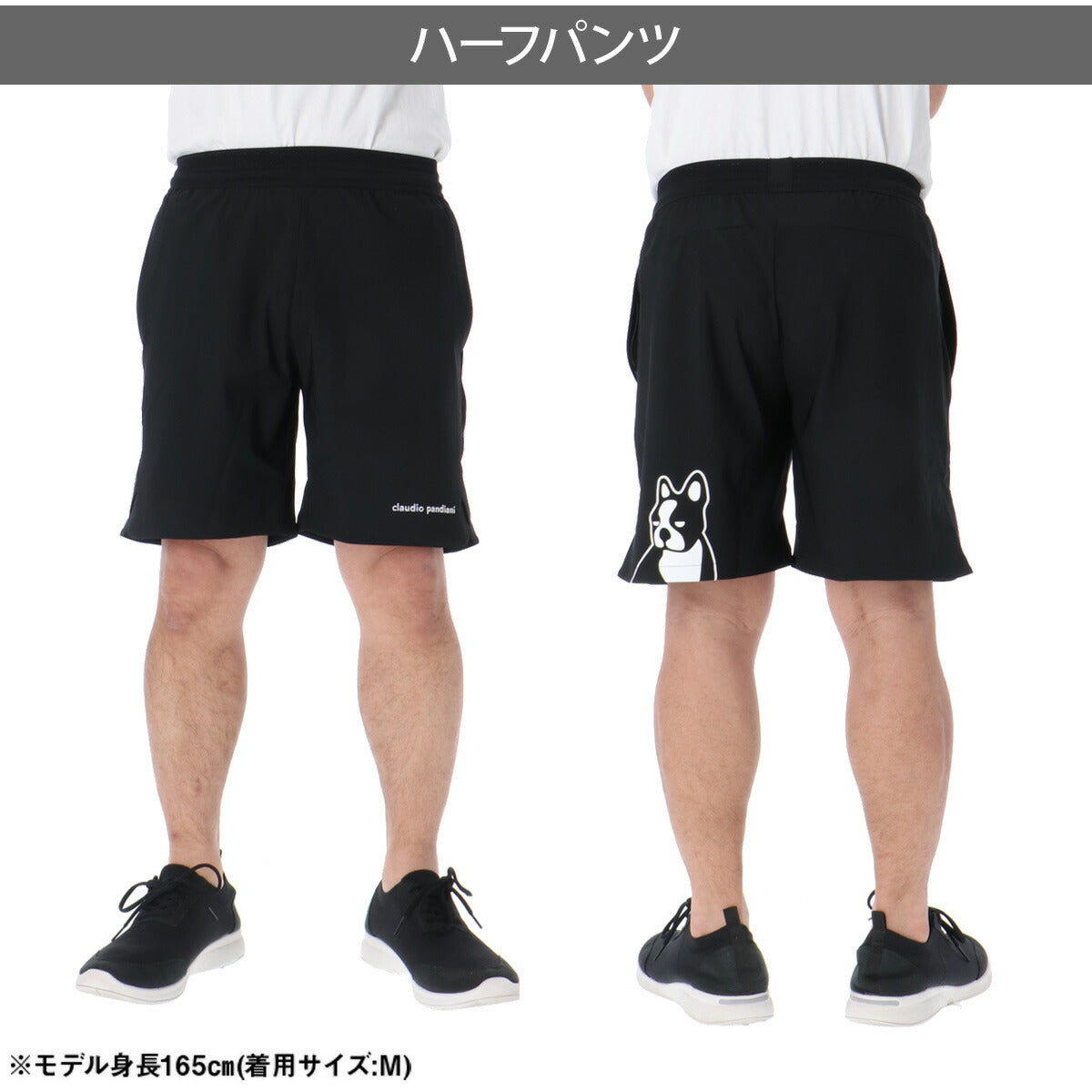 クラウディオ パンディアーニ メンズ Tシャツ ハーフパンツ上下 パンジェルマン Claudio Pandiani アパレル 上下 CP26A17/CP26A20