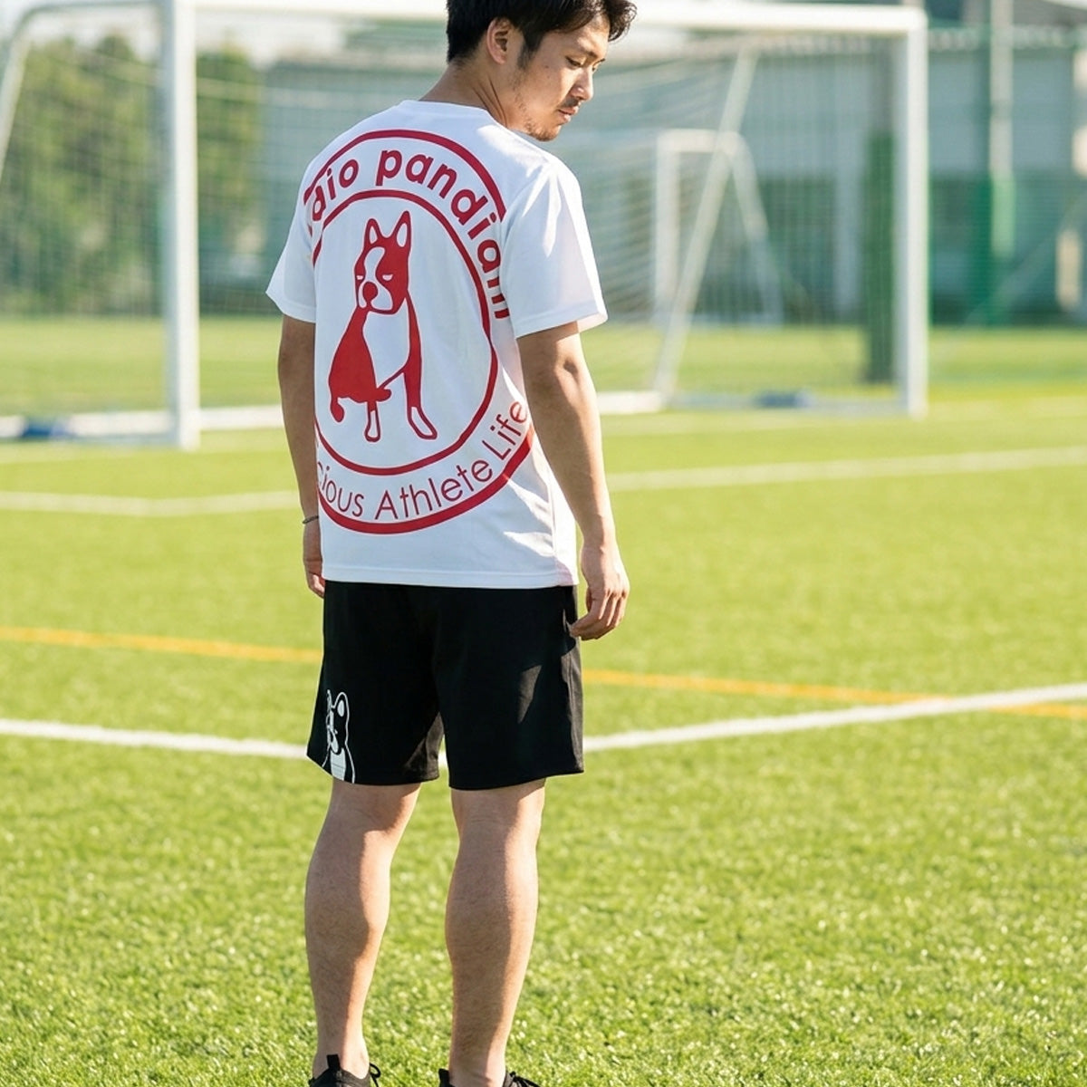 クラウディオ パンディアーニ Tシャツ ハーフパンツ 上下 メンズ パンジェルマン CP26A17