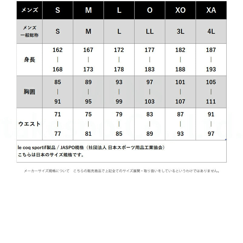 クラウディオ パンディアーニ メンズ Tシャツ ハーフパンツ上下 パンジェルマン Claudio Pandiani アパレル 上下 CP26A17/CP26A20