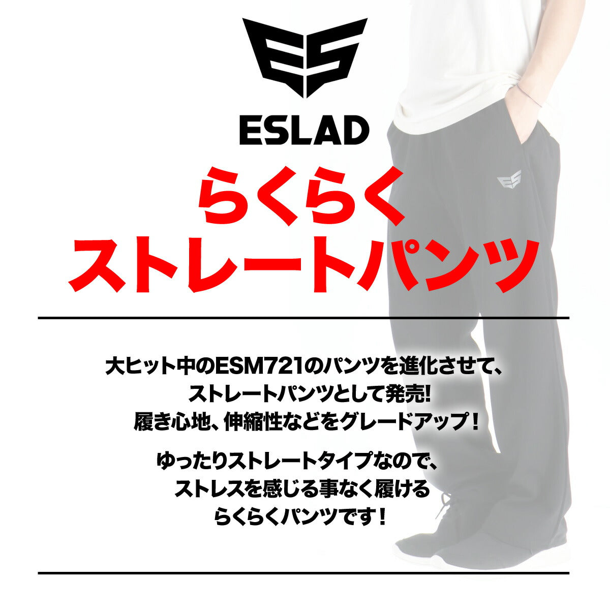 ジャージ 下 メンズ エスラッド ロングパンツ ドライ WING DRY ジャージパンツ トラックパンツ ストレート ブランド ESLAD ESM756 3ds タケスポ限定 半額以下 ブラック 大きいサイズ 有 スポーツウェア