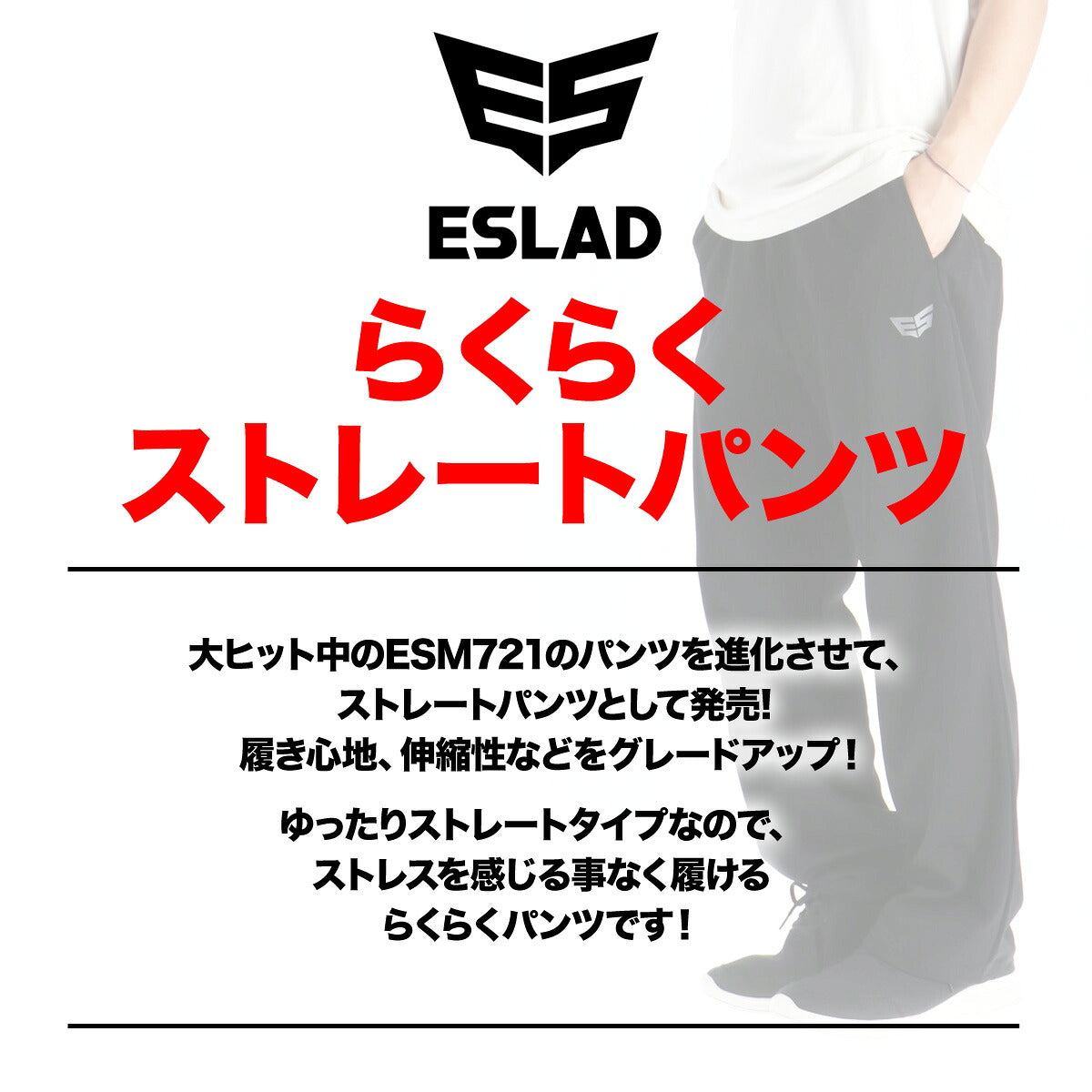 ジャージ 下 メンズ エスラッド ロングパンツ ドライ WING DRY ジャージパンツ トラックパンツ ストレート ブランド ESLAD ESM756 タケスポ限定 ブラック 大きいサイズ 有 スポーツウェア