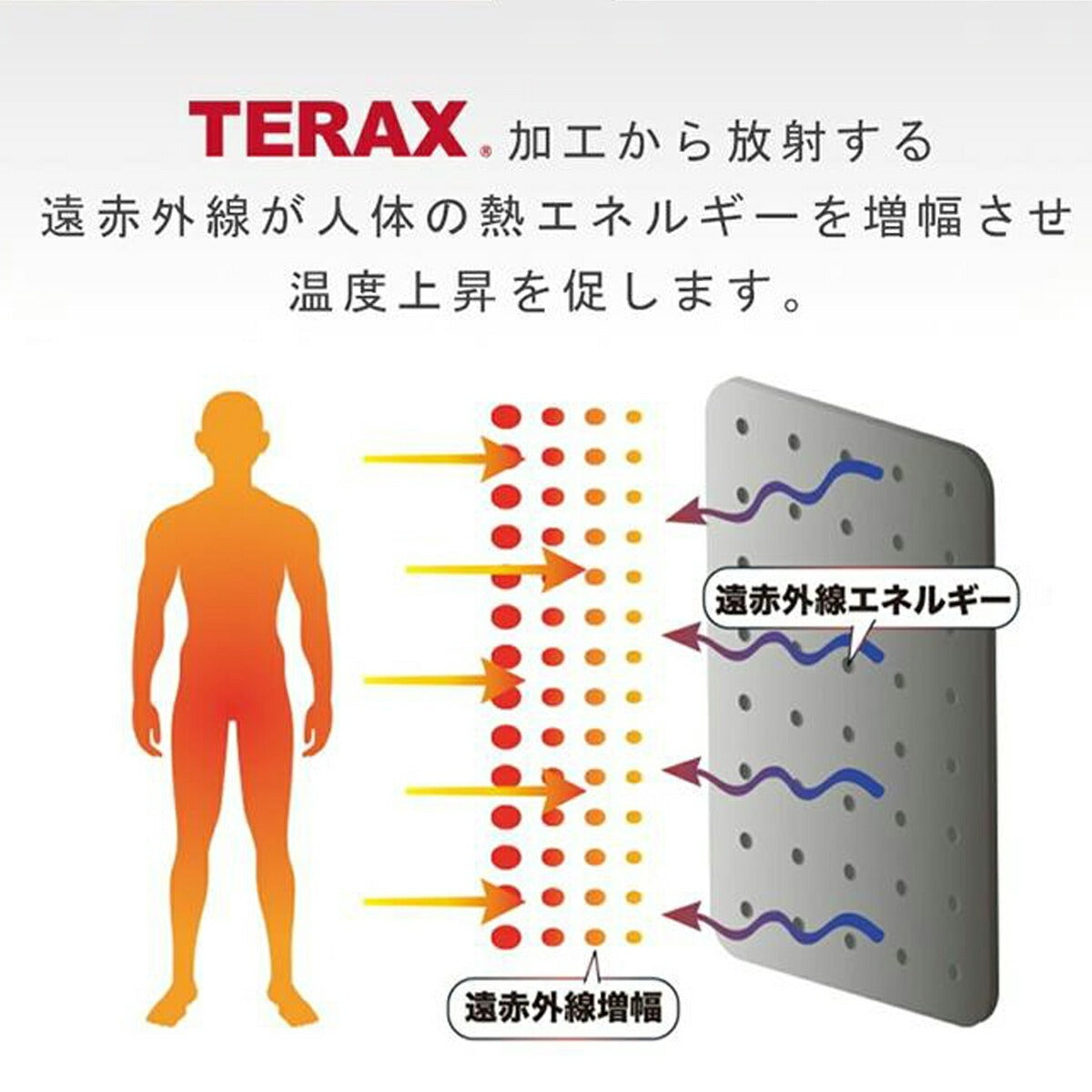 エスラッド 血行促進 インナー Tシャツ メンズ レディース テラックス TERAX ブラック ESM963