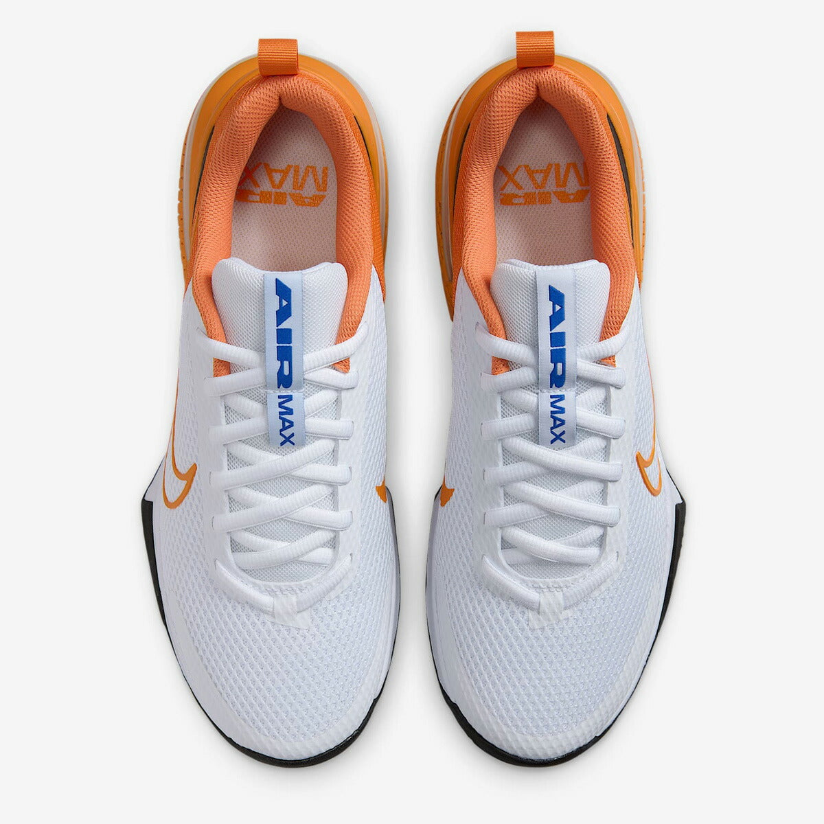 ナイキ ユニセックス シューズ Air MAX エア マックス アルファ トレーナー 6 NIKE シューズ 