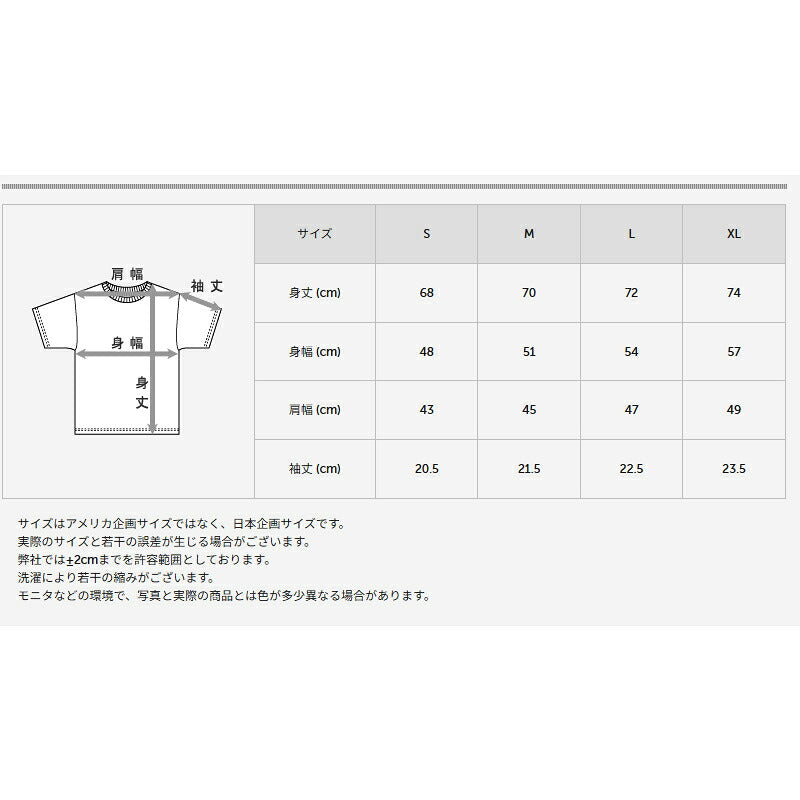 ヘインズ Tシャツ メンズ モク MOKU グレー HM1D203