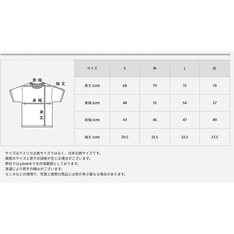 ヘインズ Tシャツ メンズ モク MOKU グレー HM1D203
