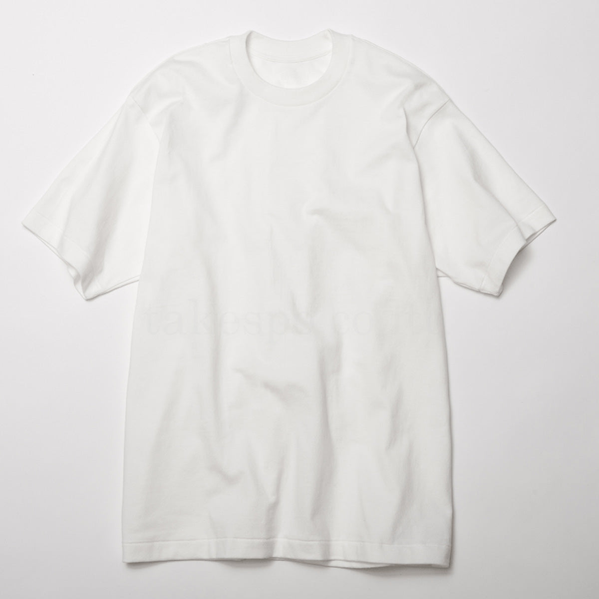 ヘインズ Tシャツ メンズ しろ SHIRO THE BEST OF WHITE-T ホワイト HM1X201L