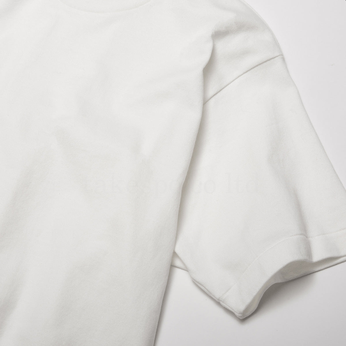 ヘインズ Tシャツ メンズ しろ SHIRO THE BEST OF WHITE-T ホワイト HM1X201L
