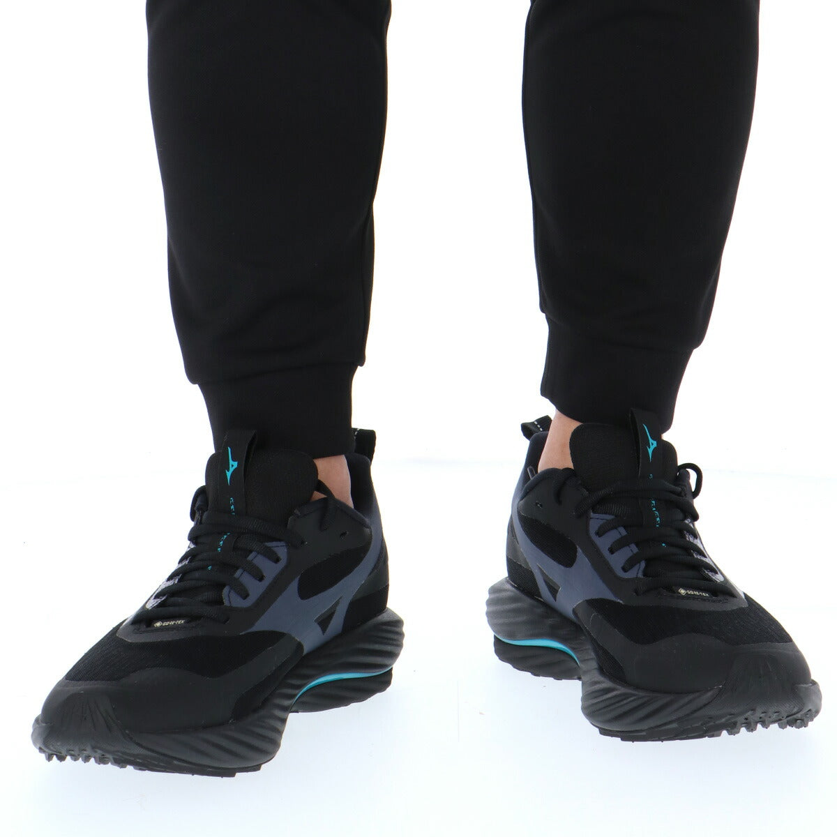 ミズノ シューズ メンズ レディース ウエーブライダーGTX 3 ブラック J1GC2577