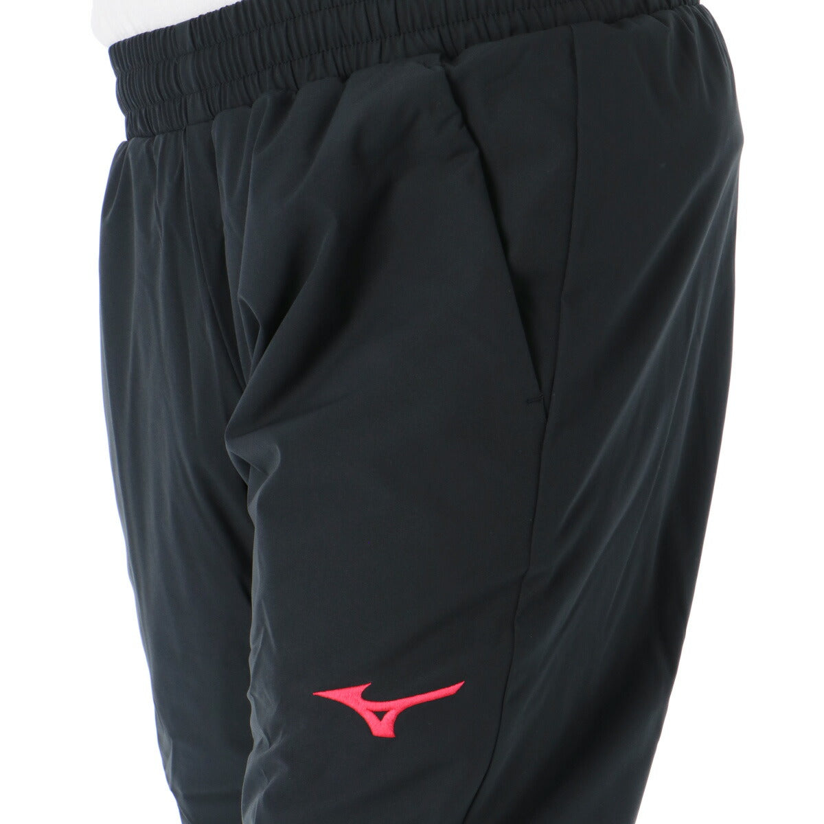 ミズノ メンズ ロングパンツ ブレスサーモ サーマルチャージ Mizuno アパレル 下 N2JDC500