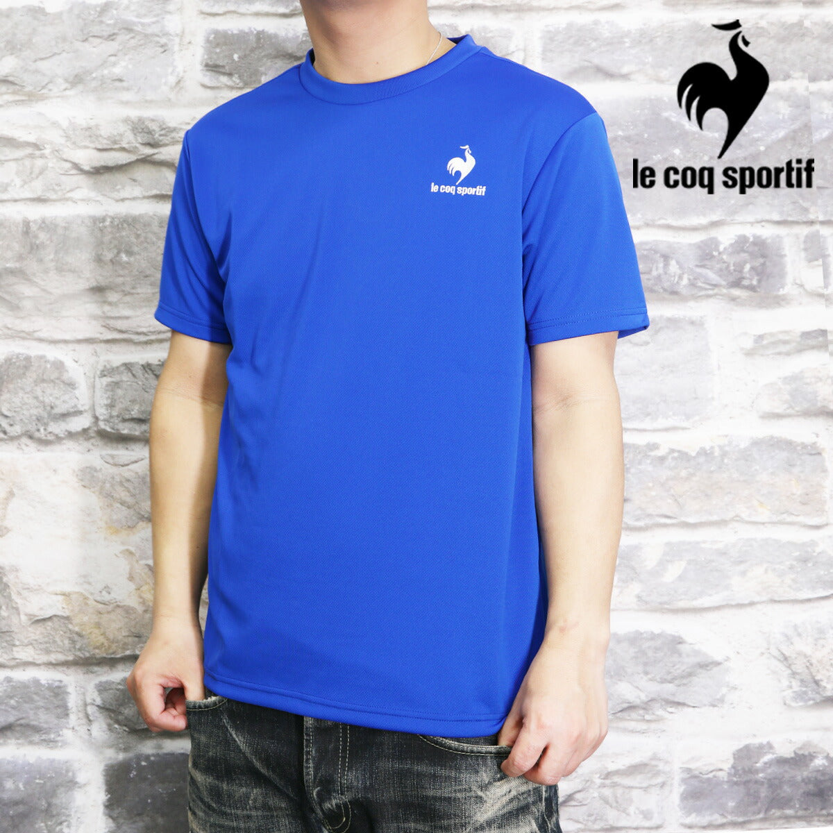 ルコック Tシャツ メンズ エコペットショートスリーブシャツ ブラック ネイビー ホワイト グレー ブルー QMMTJA30Z