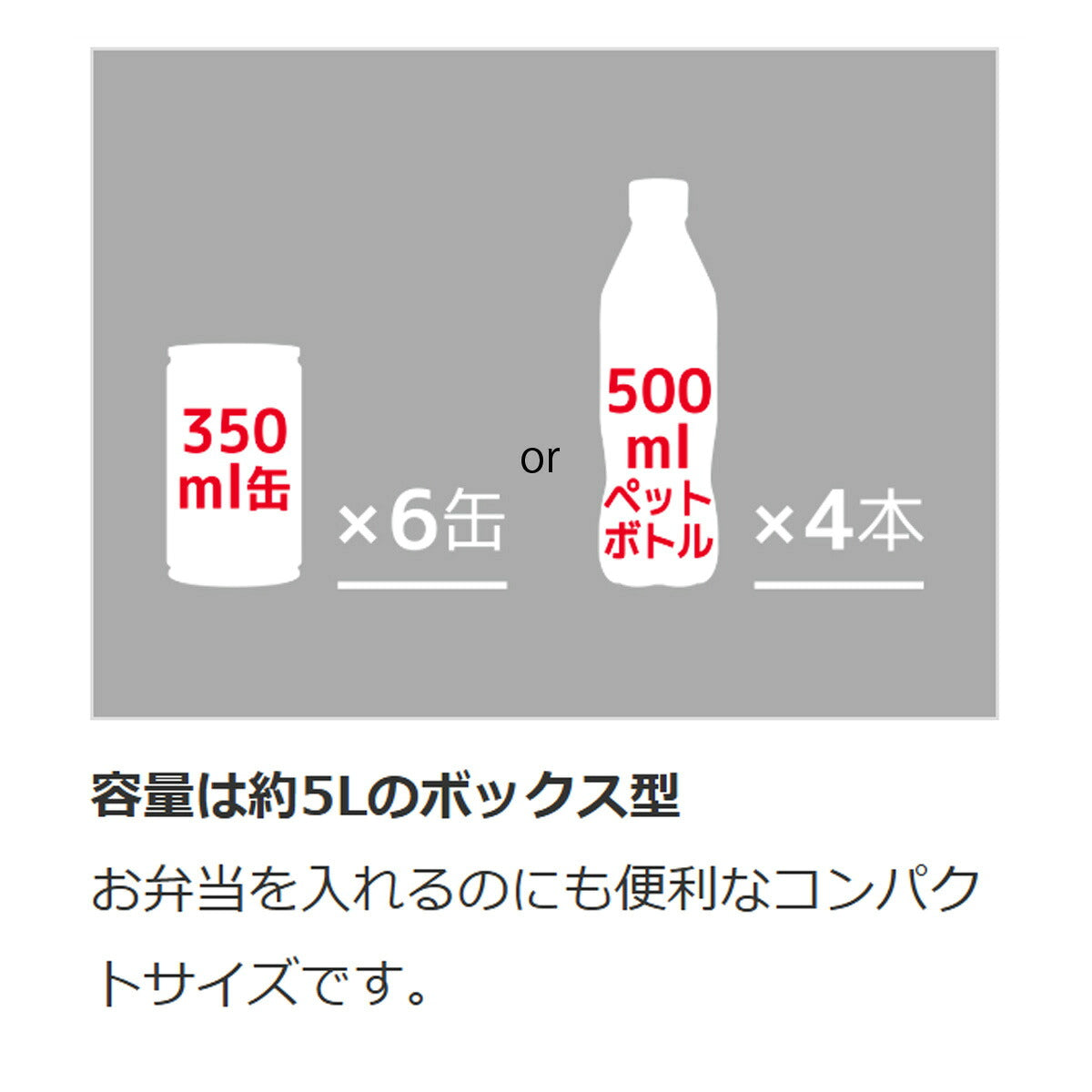 サーモス バッグ メンズ レディース ソフトクーラー ブラック REI0052