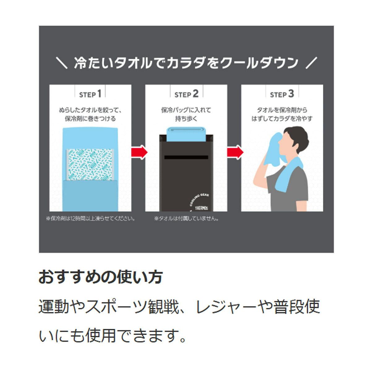 サーモス ユニセックス バッグ バッグインバッグ THERMOS アクセサリ REY0031