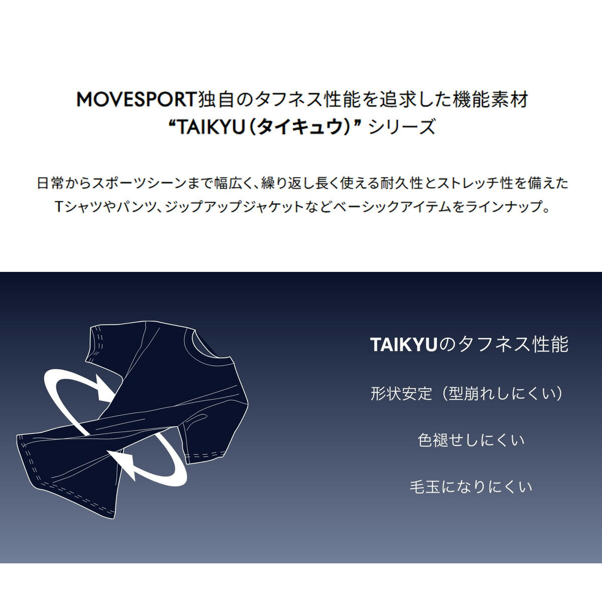 ムーブスポーツ デサント メンズ ポロシャツ TAIKYU タイキュウ MOVESPORT DESCENTE アパレル 上 ST6SHST0M