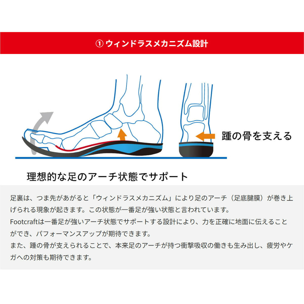 ザムスト ユニセックス インソール フットクラフト ミドル ZAMST アクセサリ STANDARDMIDDLE